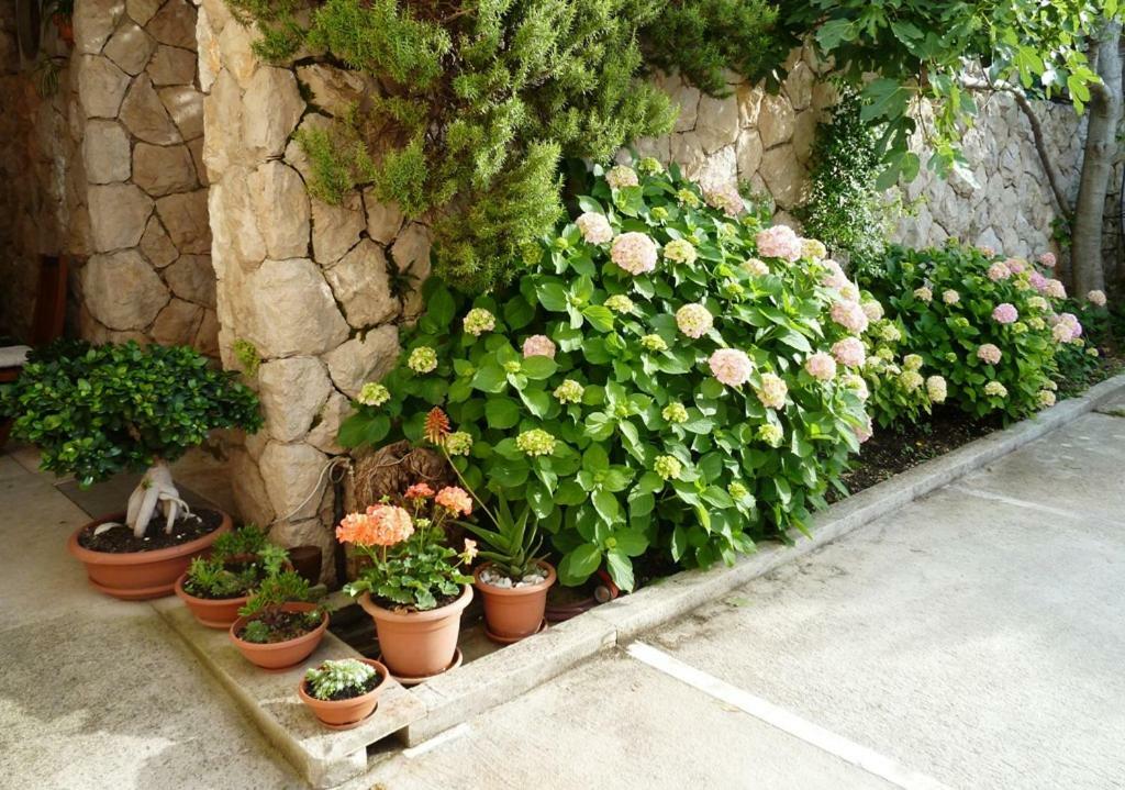 Nice Apartment & Room In Кавтат Екстериор снимка